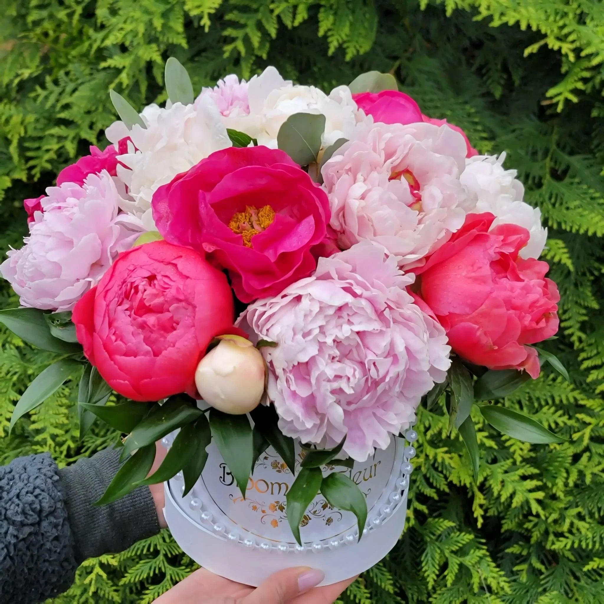 Peony Season is Here! Why These Blooms Are Spring’s Favorite
