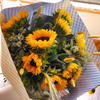 The Best Summer Flowers to Keep Your Home Vibrant & Fresh