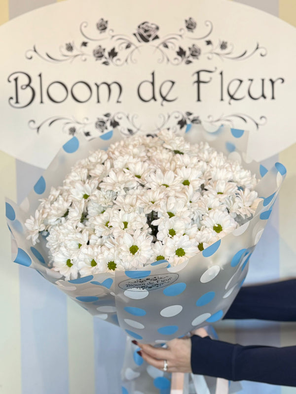 Bouquet of white daisy chrysanthemums with green centers wrapped in gray and blue polka-dot paper, tied with ribbon.