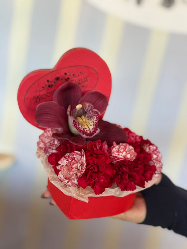Red heart-shaped Bloom de Fleur box with one deep burgundy orchid atop a bed of red and white-striped carnations.