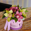 A round pastel pink gift box with a purple base and butterfly‐shaped cutouts, wrapped with a lavender satin bow and bearing the “Bloom de Fleur” logo, is filled with chartreuse and deep pink cymbidium orchids nestled among glossy green leaves; it sits on a wooden tabletop in front of a black chair and a wall with vertical cream‑and‑gray stripes.
