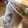 Bouquet - Dozen in "PRADA" wrapping - Bloom de Fleur