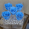 Infinity N°.5 with Drawer - Forever Roses - Baby Blue