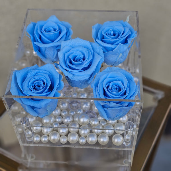 Infinity N°.5 with Drawer - Forever Roses - Baby Blue