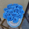 Luxury Petite White - Baby Blue