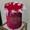 Luxury Petite Red - Red