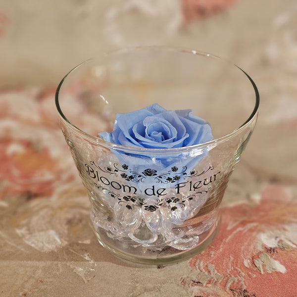 Single Rose - Forever baby blue