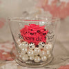 Single Rose - Forever Coral Roses