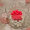 Single Rose - Forever Coral Roses