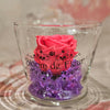 Single Rose - Forever Coral Roses