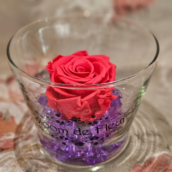 Single Rose - Forever Coral Roses