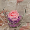 Single Rose - Forever Pink