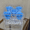 Infinity N°.5 with Drawer - Forever Roses - Baby Blue