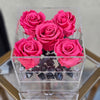 Infinity N°.5 with Drawer - Forever Roses - Hot Pink