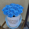 Luxury Petite White - Baby Blue