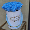 Luxury Petite White - Baby Blue