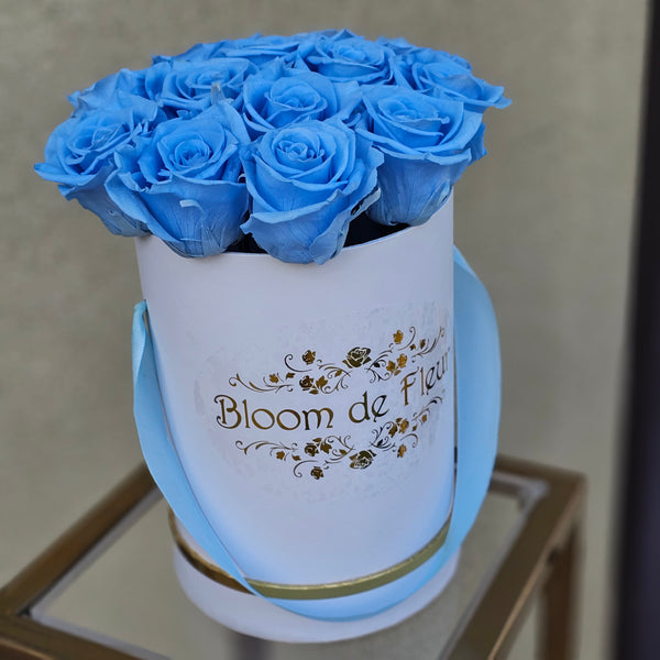 Luxury Petite White - Baby Blue