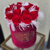 Luxury Petite Red - Red