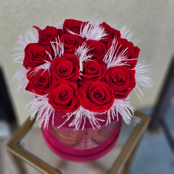Luxury Petite Red - Red
