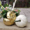 Pumpkin - White Fall - Bloom de Fleur